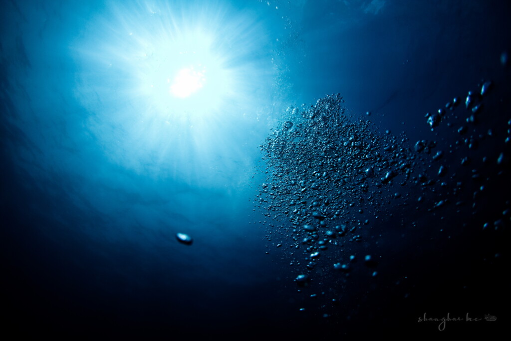 underwater world 07