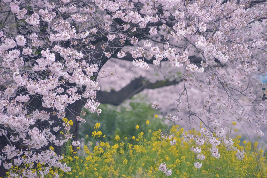 spring colors