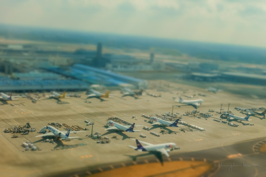 narita cargo apron