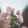When I reach you