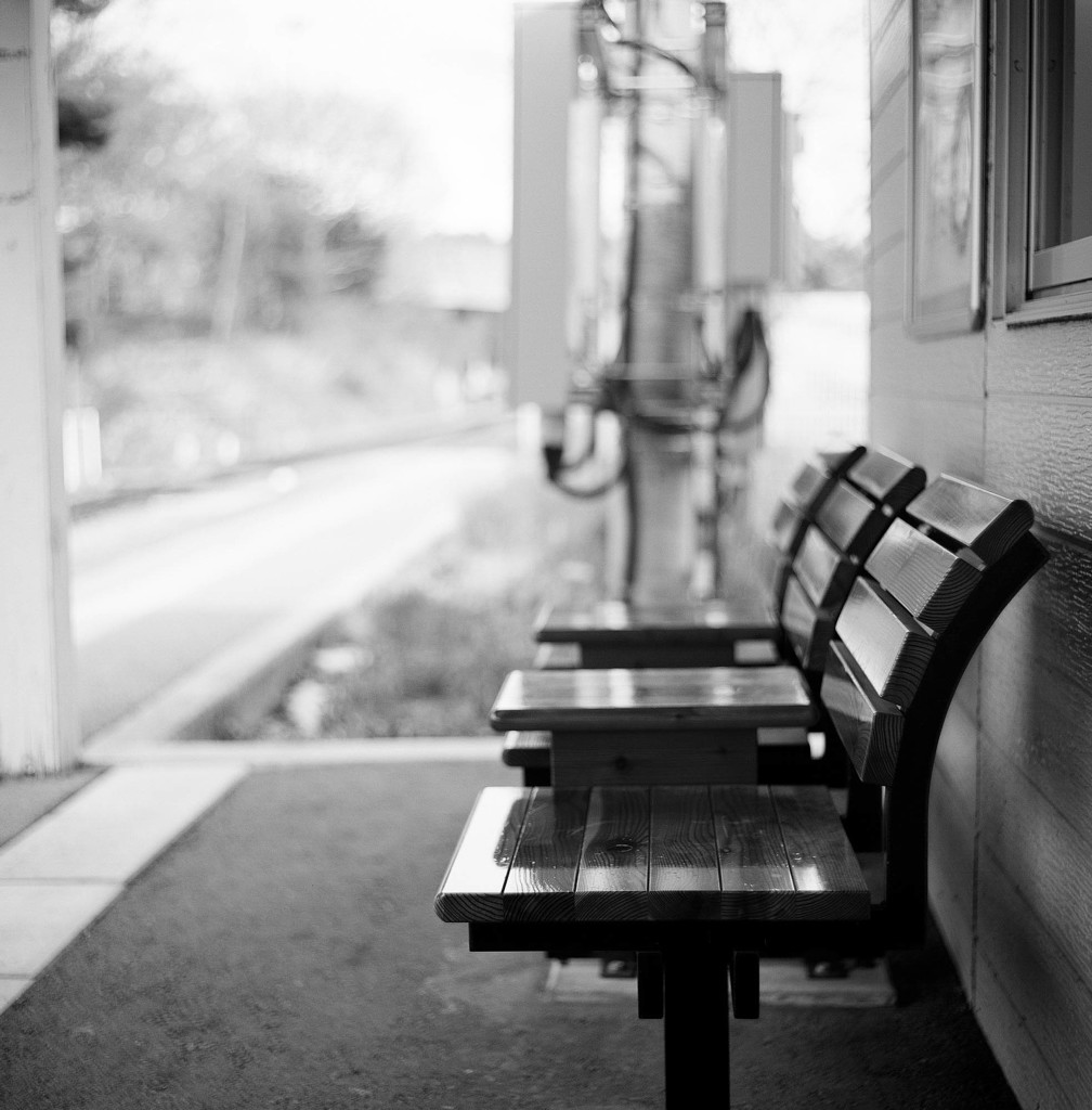 shiny chairs