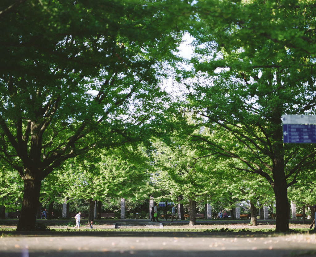 Autumn Green
