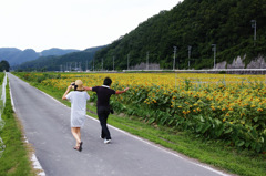 SNAP-DP2Q0219