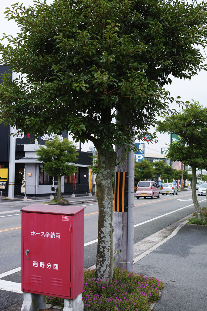 SDIM0002
