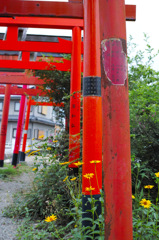 DP2Q0022