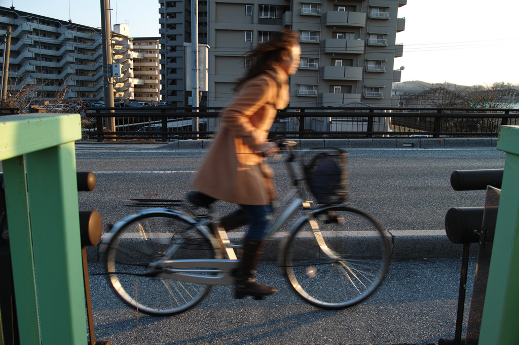 スナップ #SDIM0082