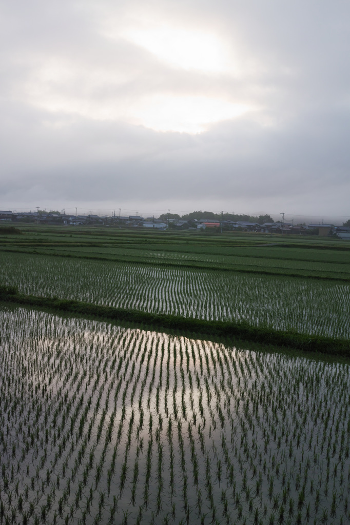 DP2Q0055