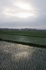 DP2Q0055