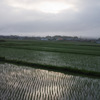 DP2Q0055