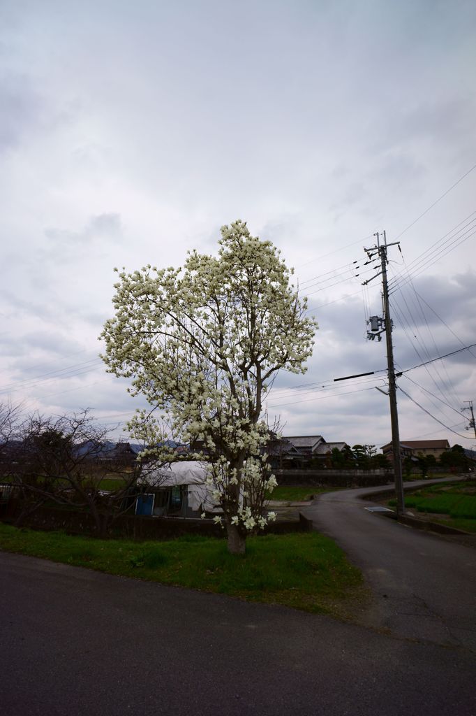 DSC04041