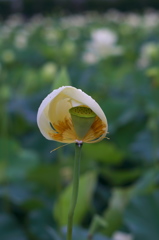 DSCF2902
