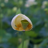 DSCF2902