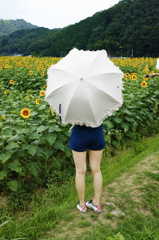 SNAP-DP2Q0243