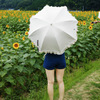 SNAP-DP2Q0243