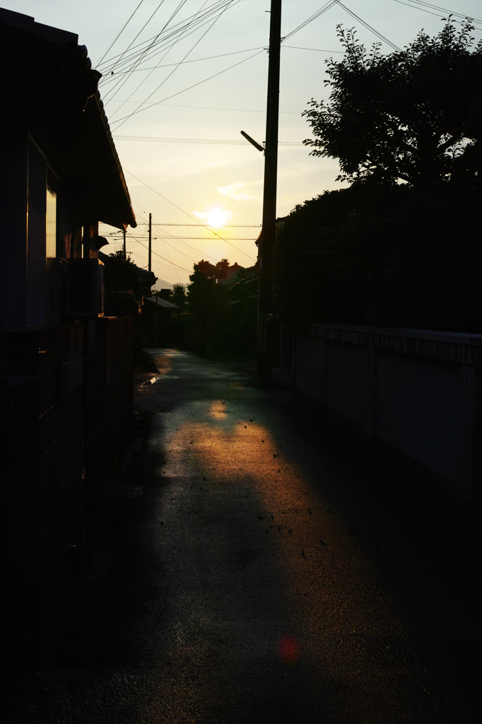 DP2Q0225