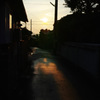DP2Q0225