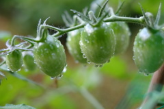 DSCF2897