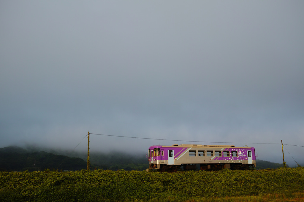 DP2Q0064
