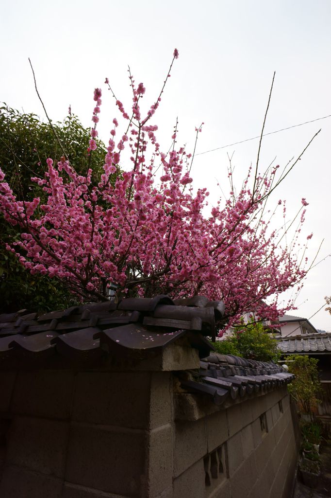 DSC04026