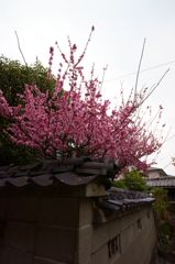 DSC04026