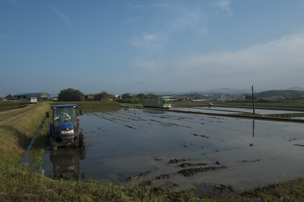 北条鉄道　田植えの頃