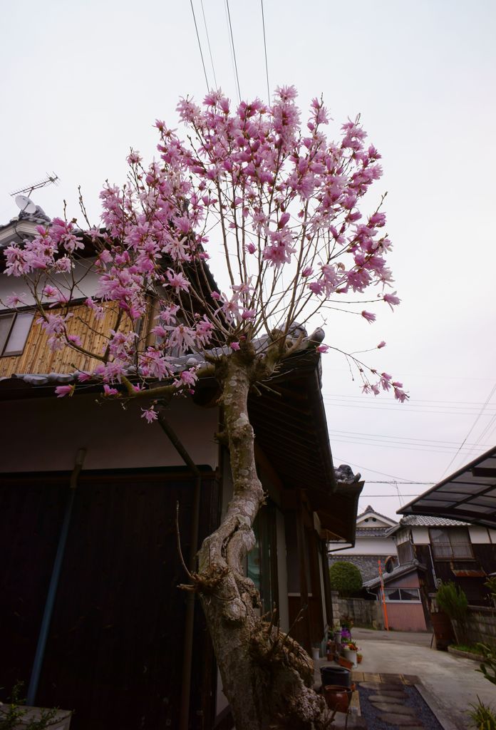 DSC04035