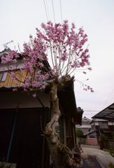 DSC04035