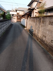 ご近所スナップ #2