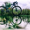 cannondale