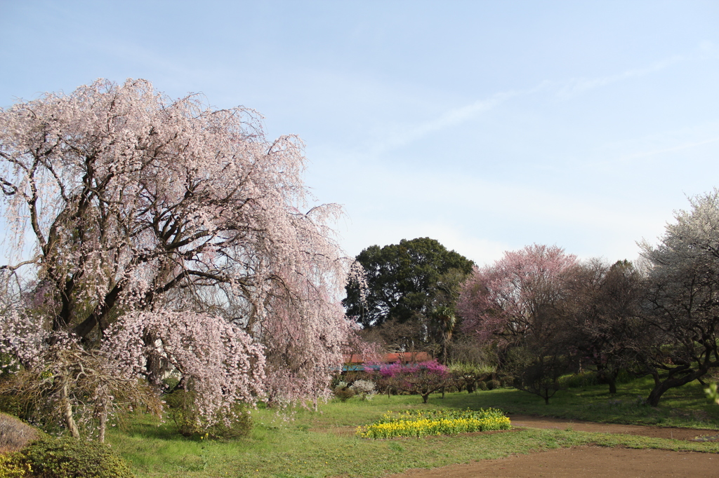 三輪の里山にて。