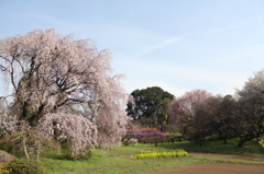 三輪の里山にて。