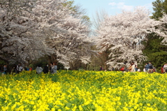 春の陽気に誘われて。