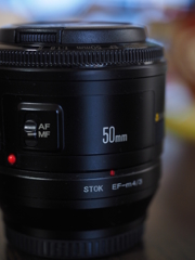 テーブルフォト　EF50mm　F=1.8（その2）