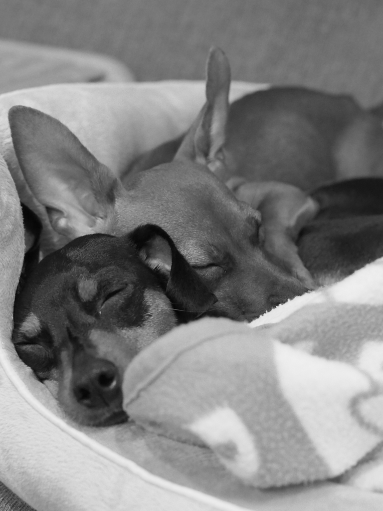 Sisters