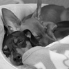 Sisters