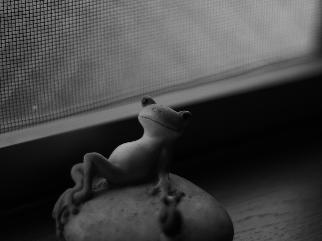 ＭＦ練習（カエルさん）