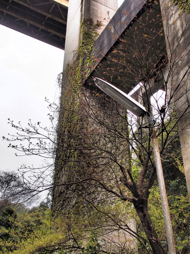 ドラマチックトーンで