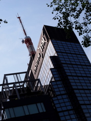 皇居散歩・・・・・