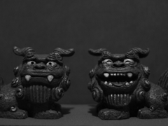 ＭＦ練習（シーサーさん）