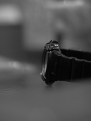 相棒の哀愁・・・？