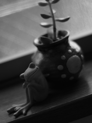 ＭＦ練習（カエルさん）