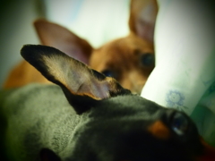 sisters