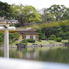 潮入りの池_2