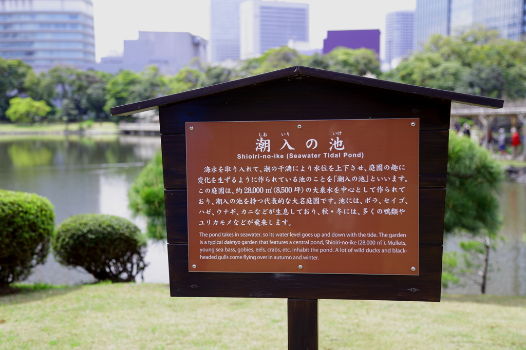 潮入りの池