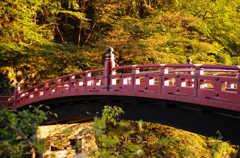 橋