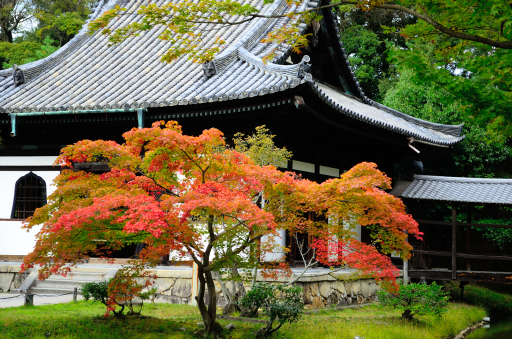 高台寺