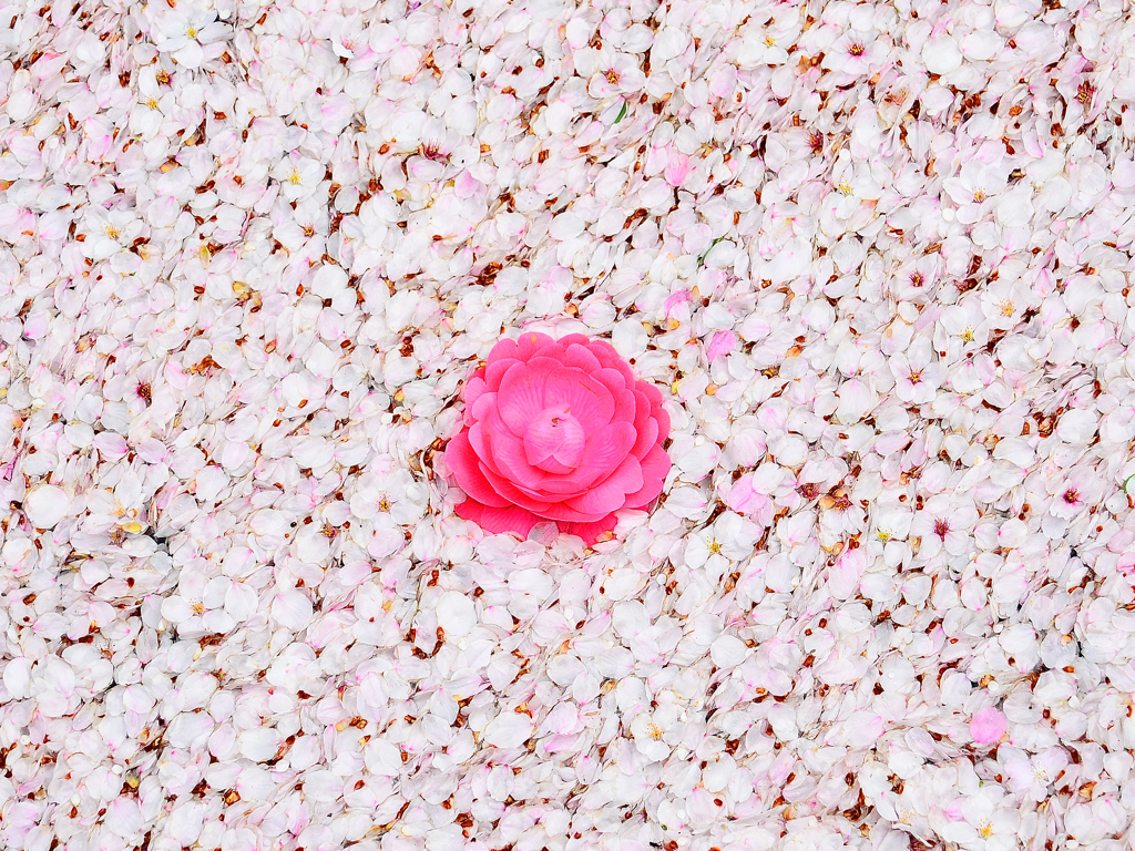 日の丸