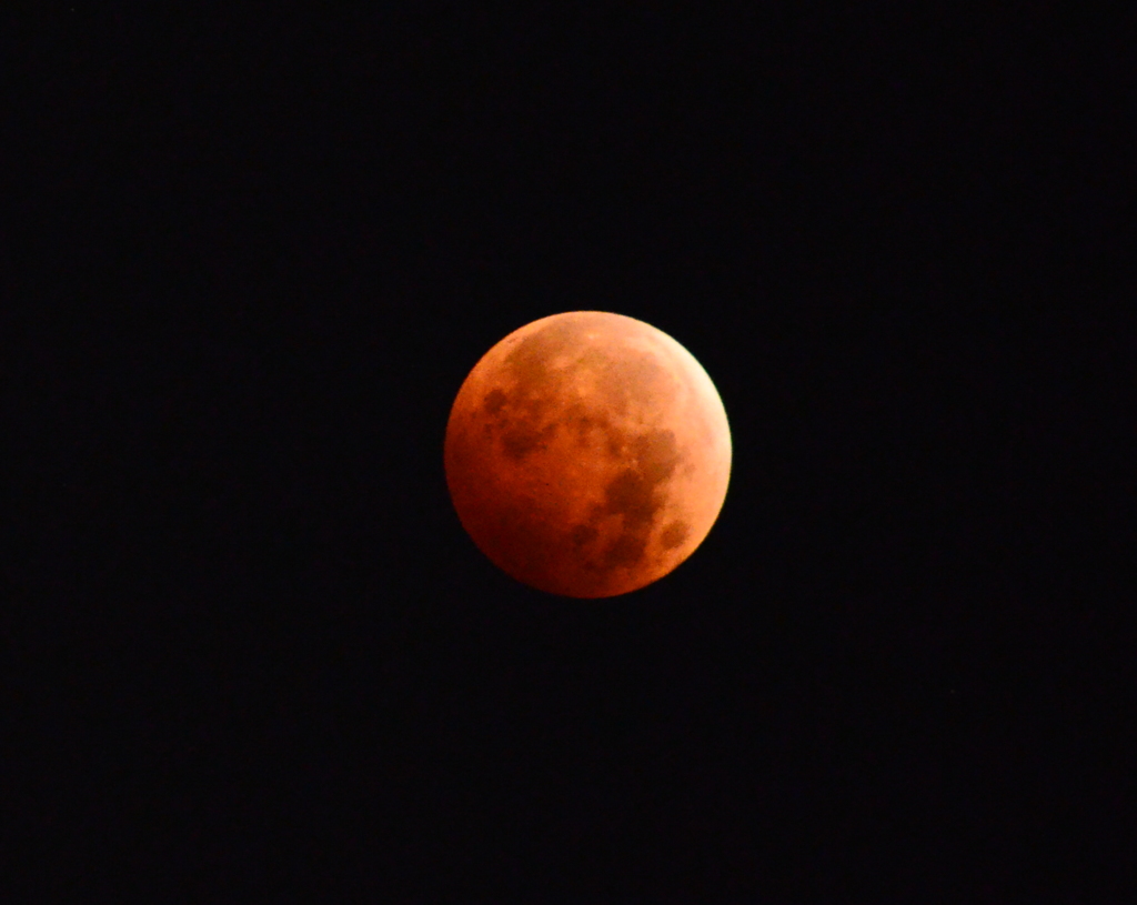 Bloody Moon