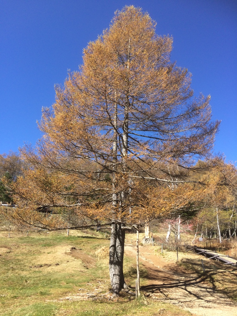 真っ青の空に