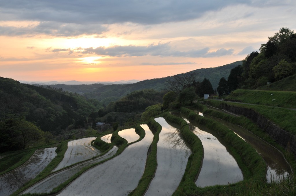 棚田と夕日